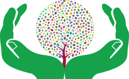 Medio ambiente, irrelevante para los mexicanos: estudio