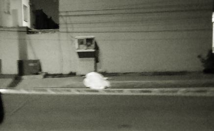 Matan a balazos a una mujer frente a su casa en Zumpango