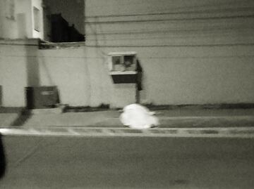 Matan a balazos a una mujer frente a su casa en Zumpango