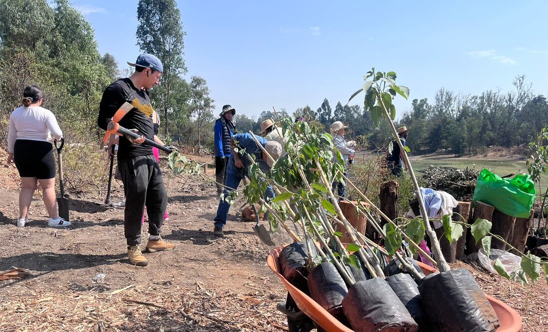 Alrededor de 50 personas realizaron una jornada de reforestación este sábado; el Lago está declarado como Área Natural Protegida. (Foto: Arturo Contreras)