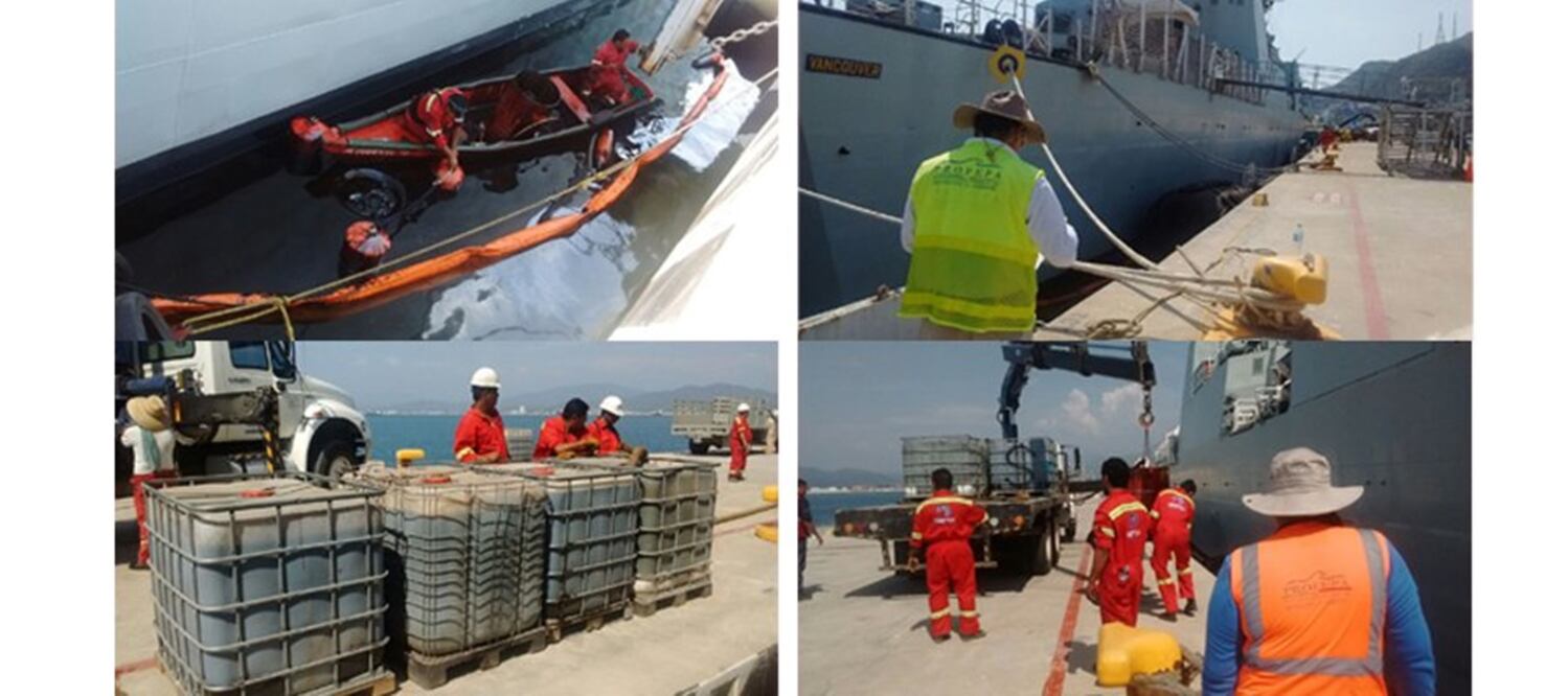 (Fotos: @PROFEPA_Mx)