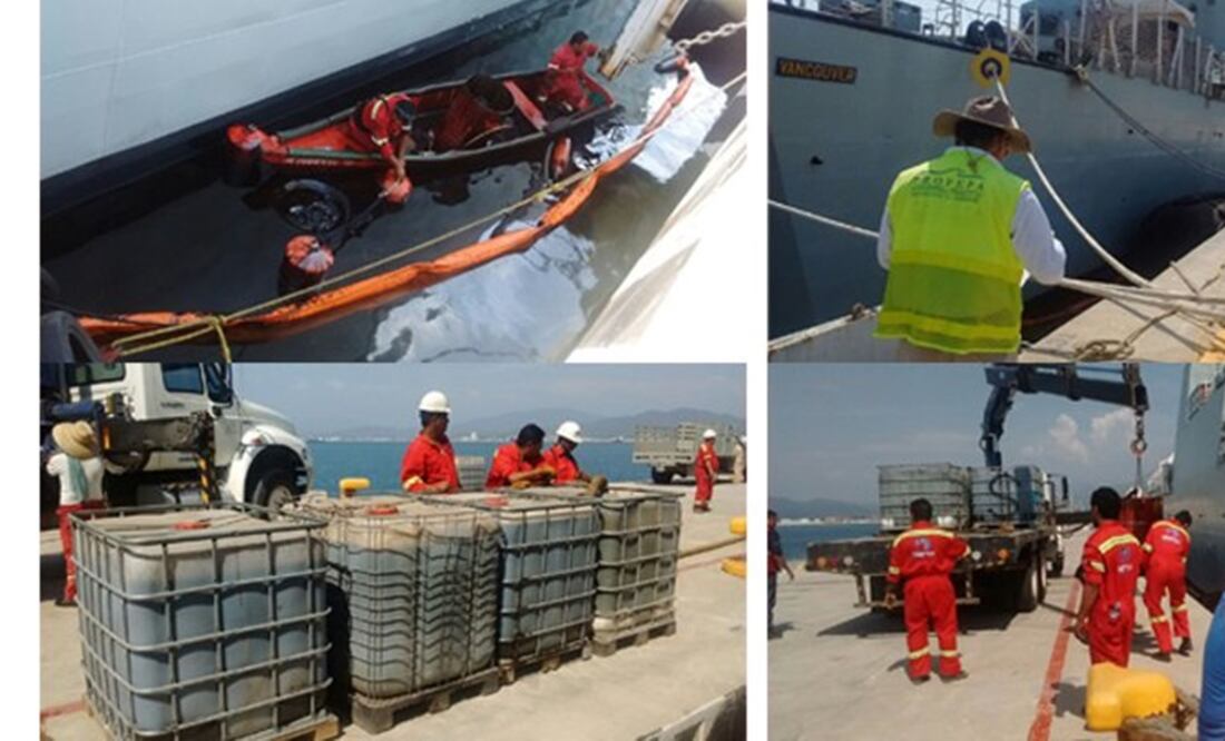 (Fotos: @PROFEPA_Mx)