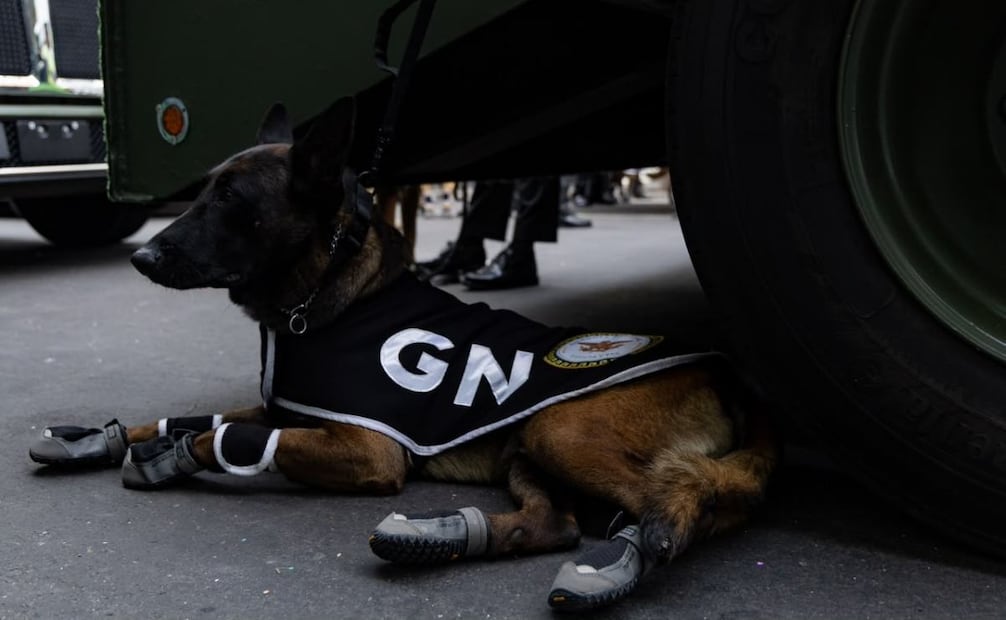 Aspectos de los preparativos del Desfile Cívico Militar, en las calles del Centro Histórico de la Ciudad de México, este 16 de septiembre de 2026. Foto Hugo Salvador/ EL UNIVERSAL