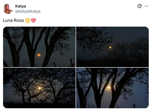 Fotos de la Luna Rosa 2026. Foto: X