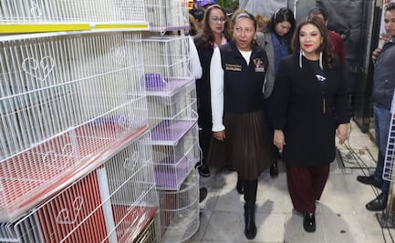 Tras casi 70 años, termina venta de animales en el Mercado de Sonora: alcaldía Venustiano Carranza; "marca un precedente en CDMX", destaca