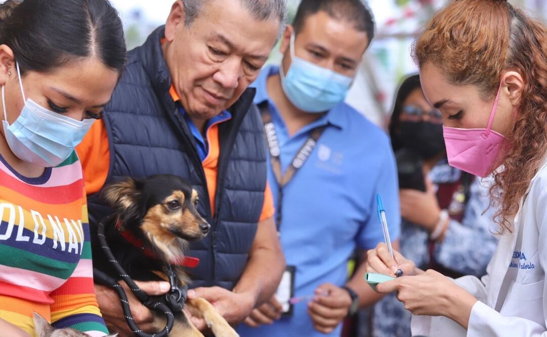 Foto: Berenice Fregoso/ EL UNIVERSAL 