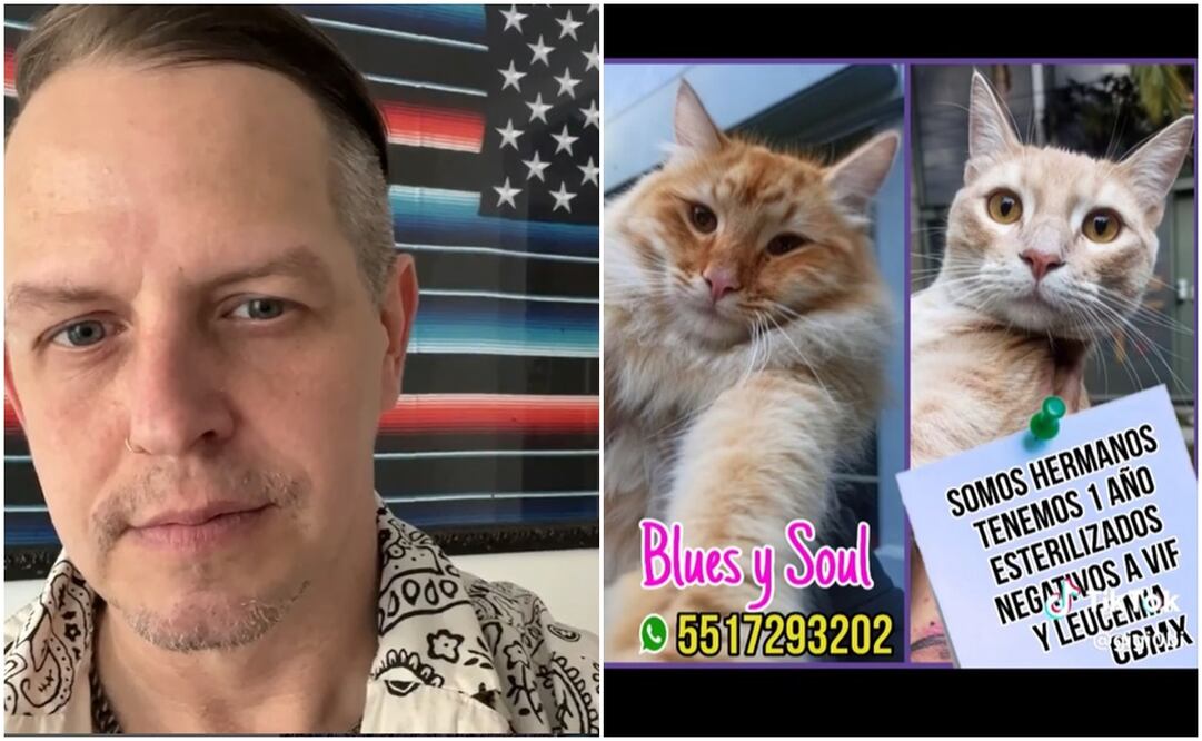 Randy de Molotov. Foto: Instagram @ameri_naco y TikTok @gigi0bi