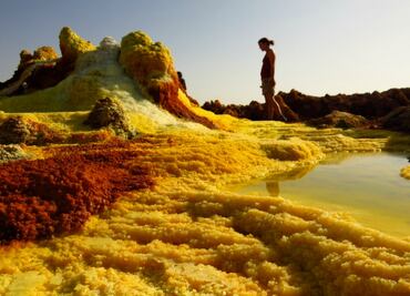 Viaja en compañía de un periodista o un egiptólogo