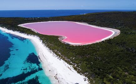 Conoce el lago rosa de Australia
