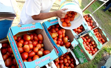Tribunal de EU dará fallo en conflicto por jitomate mexicano