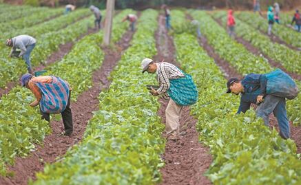 Deportaciones de migrantes ya comienzan a afectar a empresas de EU; reportan bajas en producción