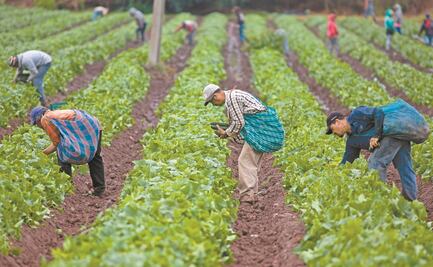 Buscan capacitar en derechos laborales a grupos migrantes