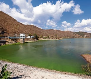 Preocupan bajos niveles en presas que abastecen al Cutzamala; Valle de Bravo bajó de 51.9% al 39.8%, de marzo a junio