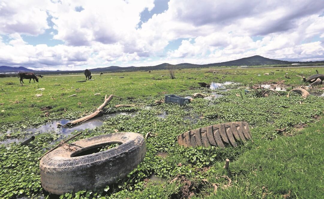 Atlangatepec significa “cerro de las aguas hacia abajo”, es uno de los 60 municipios de Tlaxcala y cuenta con un gran número de haciendas, sitios representativos de este estado ganadero. Foto: Omar Contreras / EL UNIVERSAL