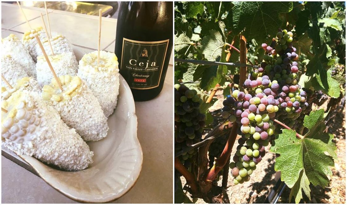 Foto: CARLOS BORBOA / Una familia migrante mexicana gana terreno con su producción de vinos en Napa Valley