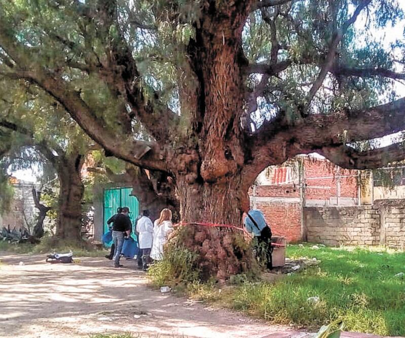 Una mujer en situación de calle fue hallada muerta y con una herida en el abdomen en la colonia Tepeyac, municipio de Tizayuca, en un sitio conocido como “el escuadrón de la muerte”. ESPECIAL