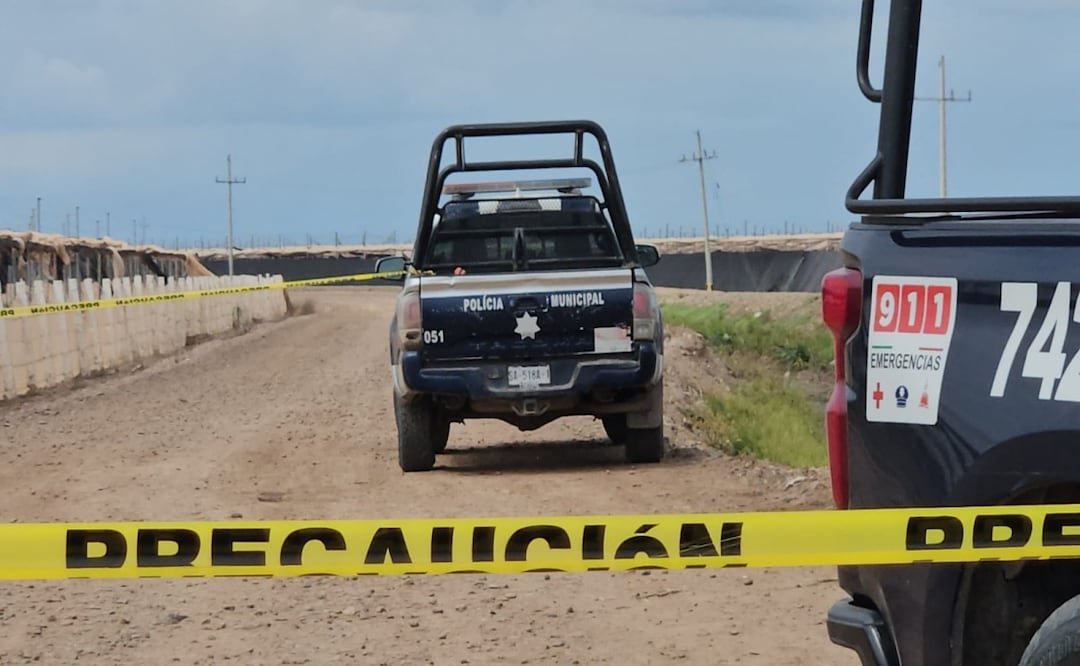 Violento fin de semana en Sinaloa; ocho hombres asesinados en Culiacán, Navolato y San Ignacio. Foto: Especial