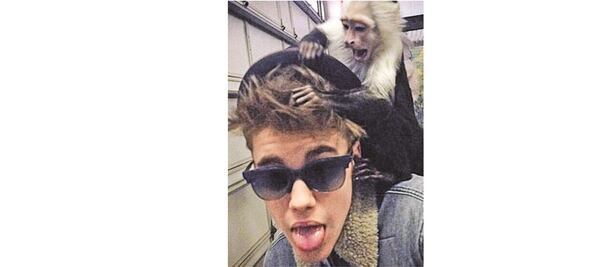 Rescate animal quiere "educar" a Bieber 