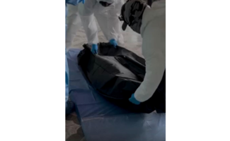 Hallan restos humanos en fosa clandestina en Silao, Guanajuato; Fiscalía no descarta localizar más indicios