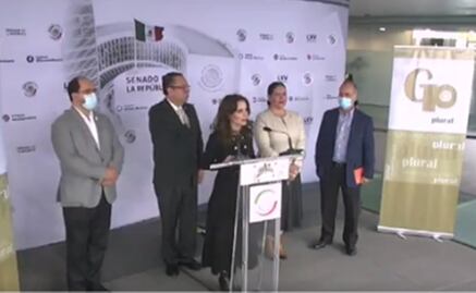 Llama nueva bancada en el Senado a un acuerdo político para ser incluida