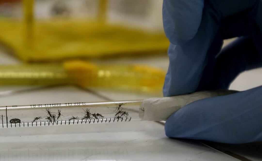 (Foto: Archivo EL UNIVERSAL)