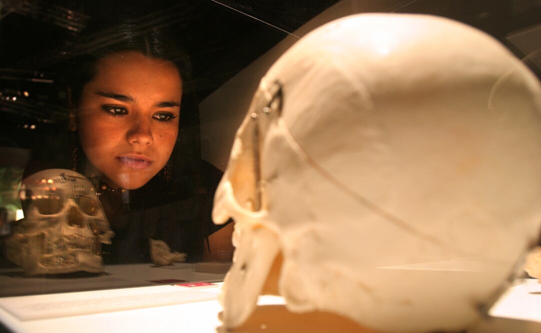 Foto: Archivo El Universal 