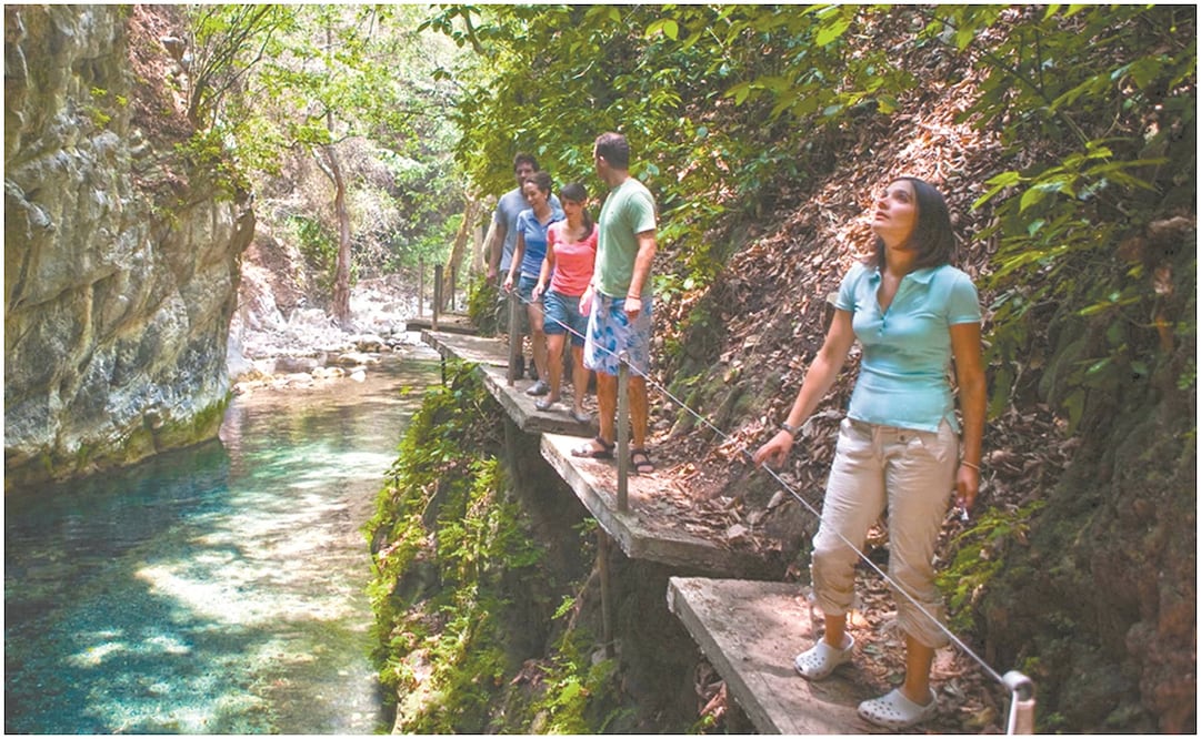 Foto: Archivo / EL UNIVERSAL