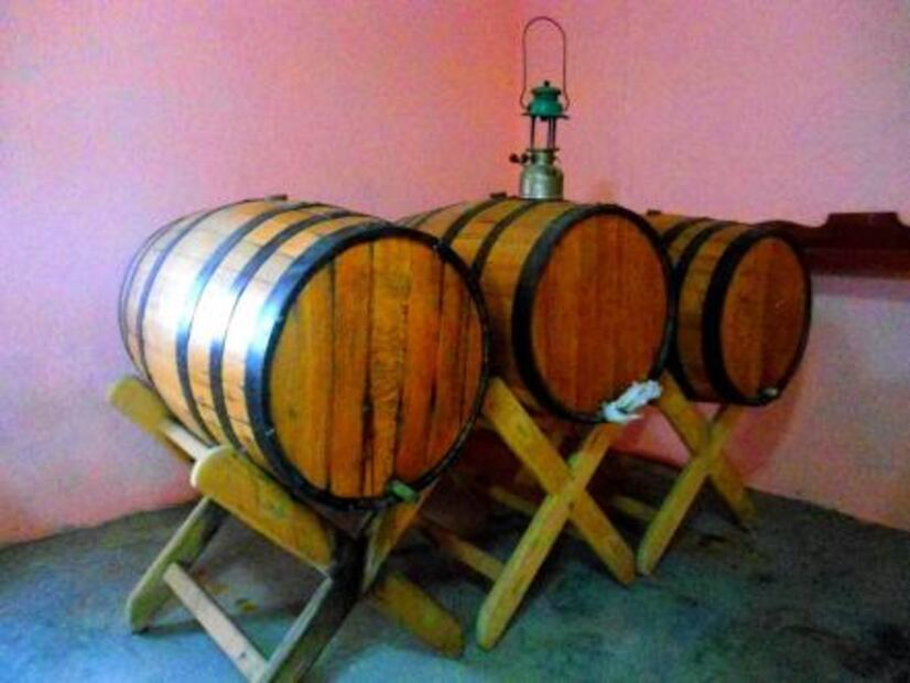 ¿Conoces las 16 cosas que sólo pueden producirse en México?