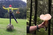 Únete a un tour de "hongosto" en un bosque de CDMX