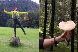 Únete a un tour de "hongosto" en un bosque de CDMX