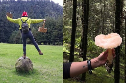 Únete a un tour de "hongosto" en un bosque de CDMX