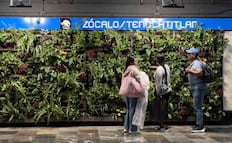 Muros verdes colocados en 8 estaciones de Línea 2 del Metro costaron 5 mil 693 pesos por M2: STC; precio es inferior al comercial, asegura