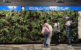 Muros verdes colocados en 8 estaciones de Línea 2 del Metro costaron casi 6 mil pesos por M2: STC; precio es inferior al comercial, asegura