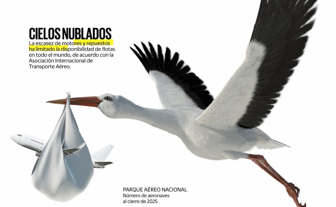 Fuente: Agencia Federal de Aviación Civil