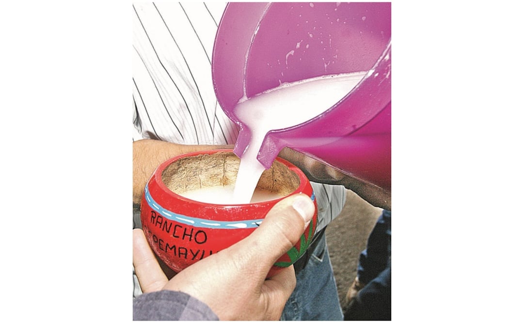 Foto: archivo/EL UNIVERSAL