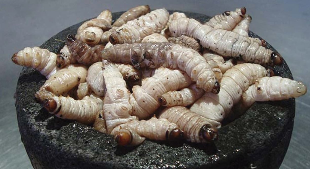 Foto: Instagram, vía @gastroactitud