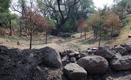 Construyen cuatro represas en sierra de Guadalupe