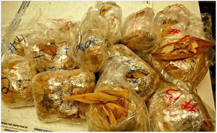Traveler carried 450 illegal pork tamales