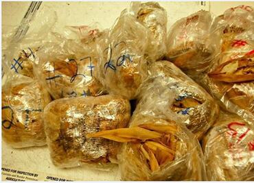 Traveler carried 450 illegal pork tamales