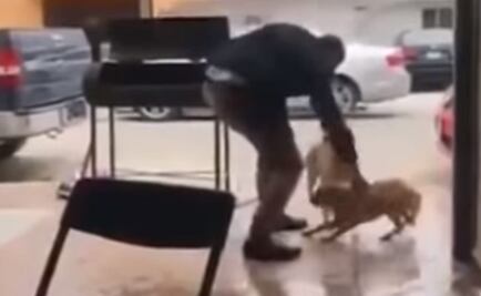 ¿Qué opinas de las denuncias de maltrato animal en redes sociales?