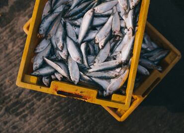Oferta de trabajo en Canadá por 30 mil pesos