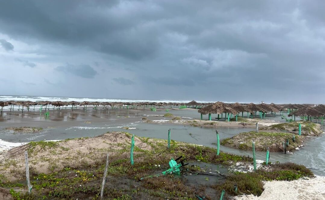 Foto: Roberto Aguilar / EL UNIVERSAL