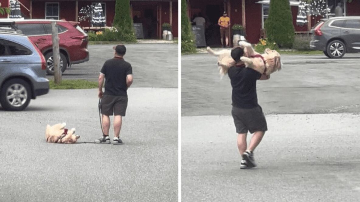 Perrito | Fuente: Twitter @showmundialshow