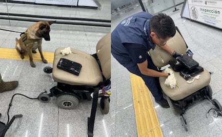 Binomio canino frustra tráfico de cocaína escondida en silla de ruedas en el AICM; detienen a un sujeto con 8 kilos