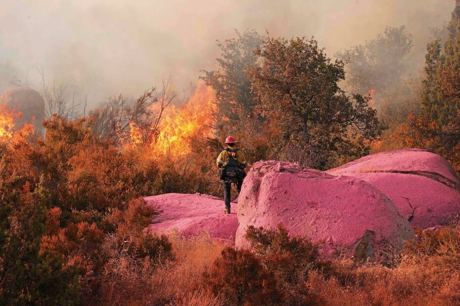 Un bombero monitorea el incendio Gavilán, que ha quemado más de 250 acres (un km2) en Perris, California, donde la temperatura ha llegado a 47 °Celsius. Foto: David Swanson / AFP