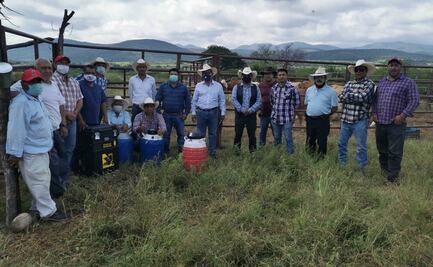 Inician operaciones centros para mejorar genéticamente el ganado lechero en Puebla