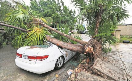 Aseguradoras reportan daños menores por huracanes en Quintana Roo
