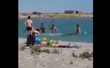 Playistas atacan con palos a foca en Kazajistán para "tomarse foto con ella" 