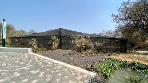 Qué hacer en el Parque Ecológico de la Ciudad de México