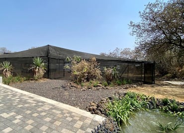 Qué hacer en el Parque Ecológico de la Ciudad de México